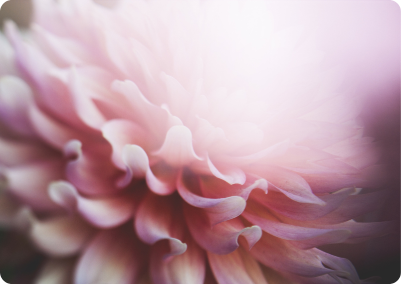 How to Store Japanese Skincare to Maximize Freshness & Potency